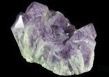 Amethyst Cluster ( lbs) - Massive Points #64760-1